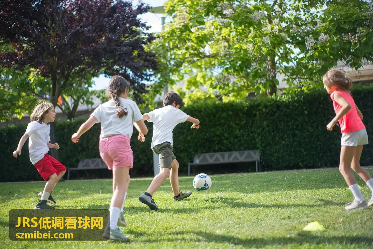 JRS低调看球网电竞联赛